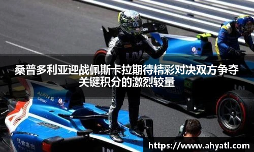 xc体育全站